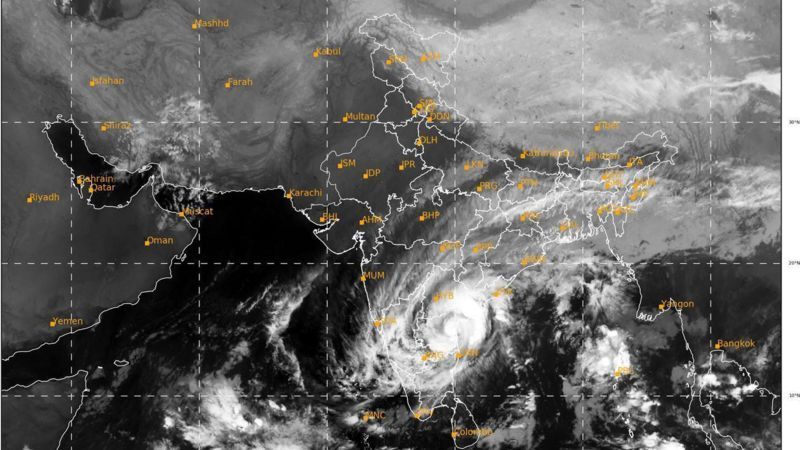 বন্যার ফলাফল: প্রকৃতির প্রতিশোধ এবং পুনরুদ্ধার